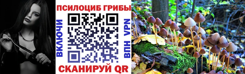 Галлюциногенные грибы Psilocybe  Купить закладки  Льгов 